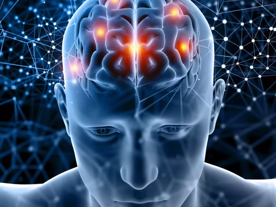 hablemos-psicologia-deportiva cerebro humano